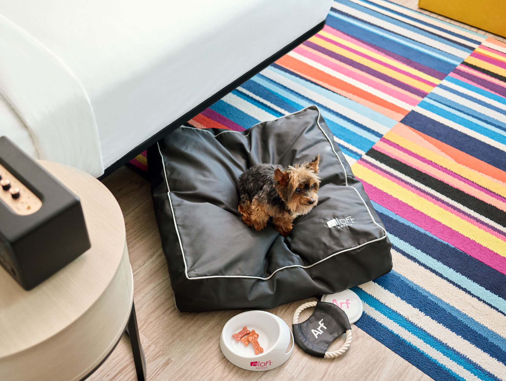 Aloft hotel in Southlake ARF program for pets.